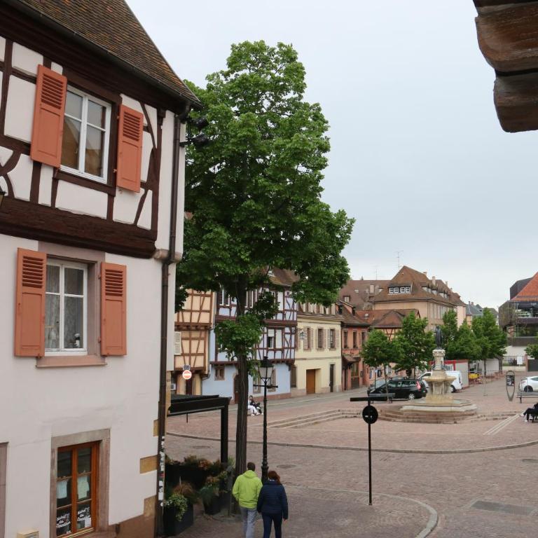 Maison Cliquot - Appartements Colmar Centre - Studio - 21