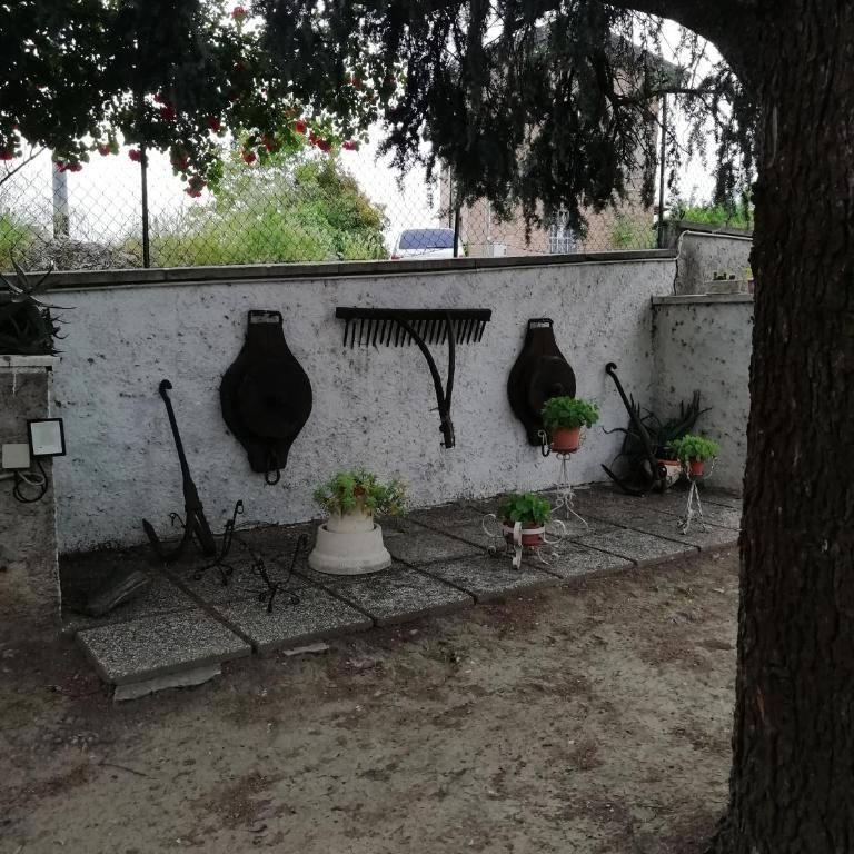 Villa Lilli 3 - Appartamento con Vista Giardino - 36
