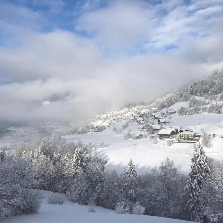 Landhaus Schönblick - Apartment mit Blick auf die Berge - 54
