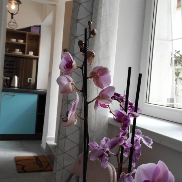 Baščaršija Double - Apartman sa 2 Spavaće Sobe - 38