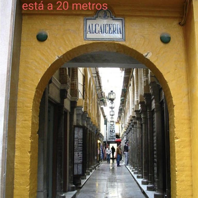 EN EL CORAZON DE GRANADA - Apartment - 25