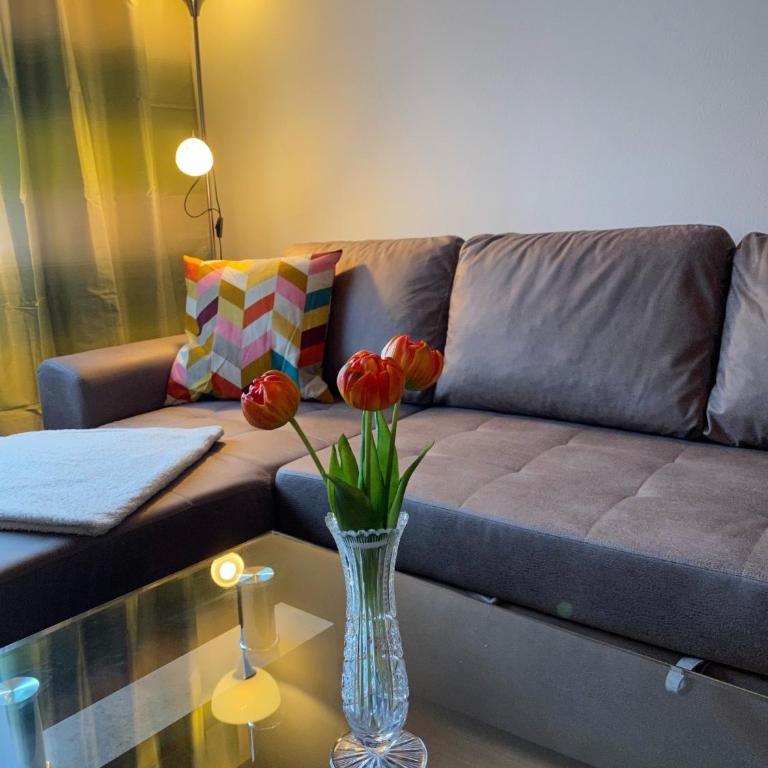 ALTSTADT-APARTMENTS Bad Radkersburg - Ihr Zuhause auf Reisen - Sonniges 55 m² Apartment „Traminer“ im EG mit Gartenblick - 16