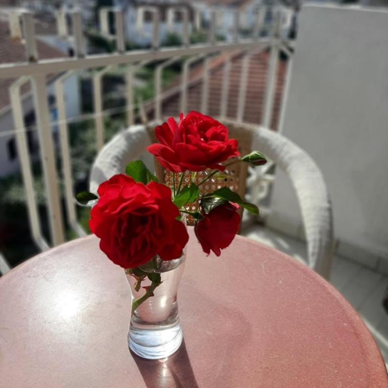 Apartment Danilo - Apartment with Balcony - 26