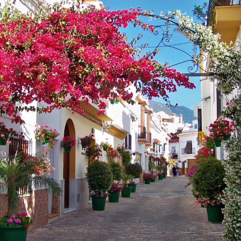 Authentic Andalusian Townhouse - Private Roof Terrace - 5min Beach - Casa con 1 dormitorio - 24