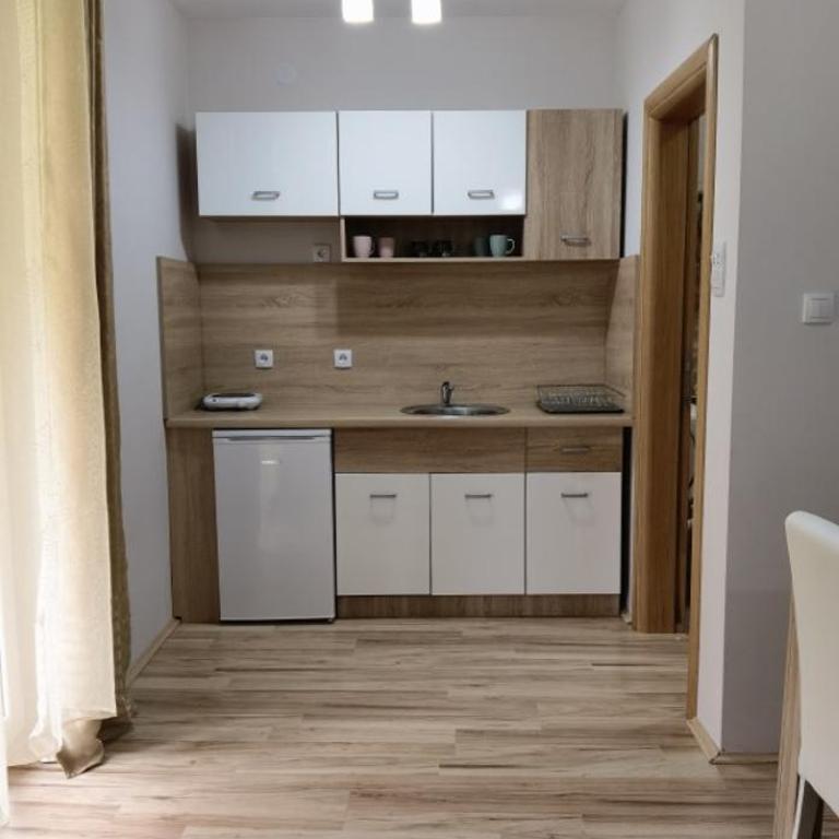 Apartmani Radivojević 2 - Studio Apartment - 6
