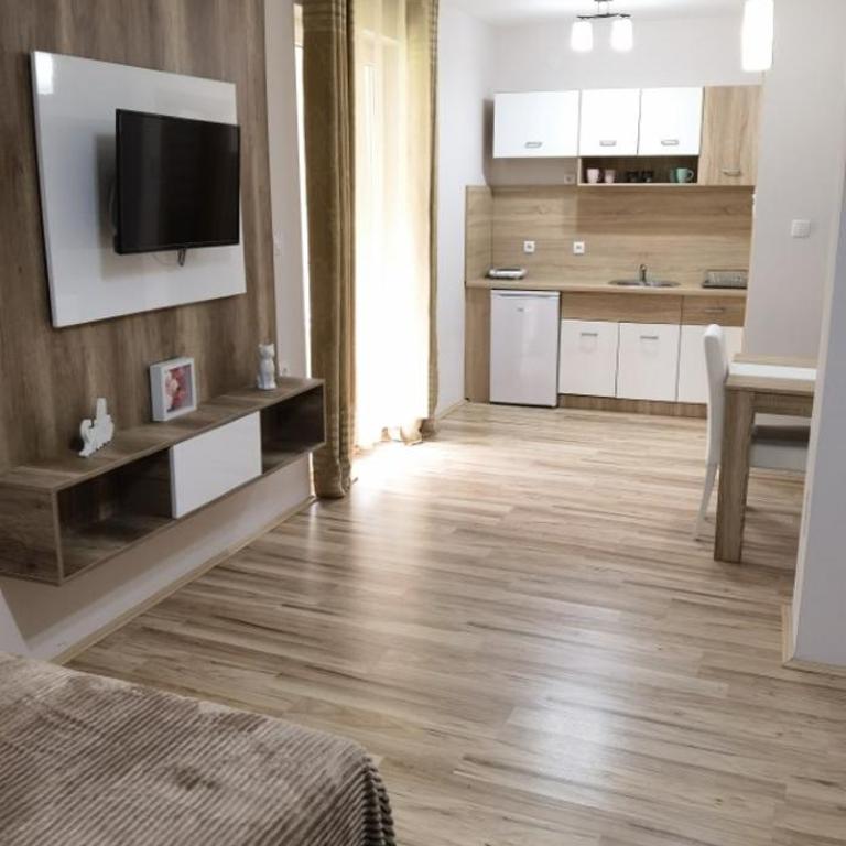 Apartmani Radivojević 2 - Studio Apartment - 4