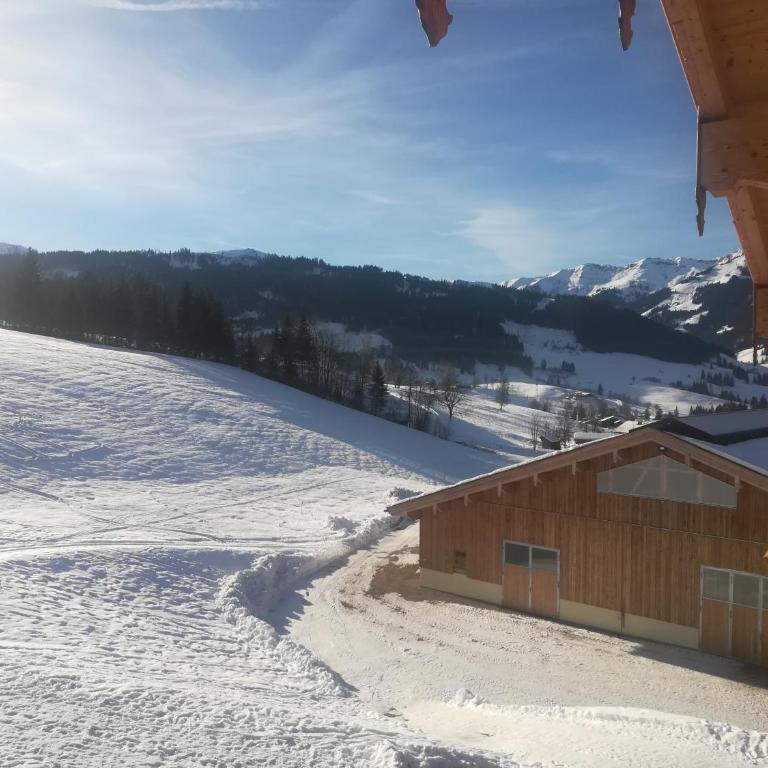 Ferienhaus Rohrmoos Maria Alm - Apartment mit 2 Schlafzimmern - 17