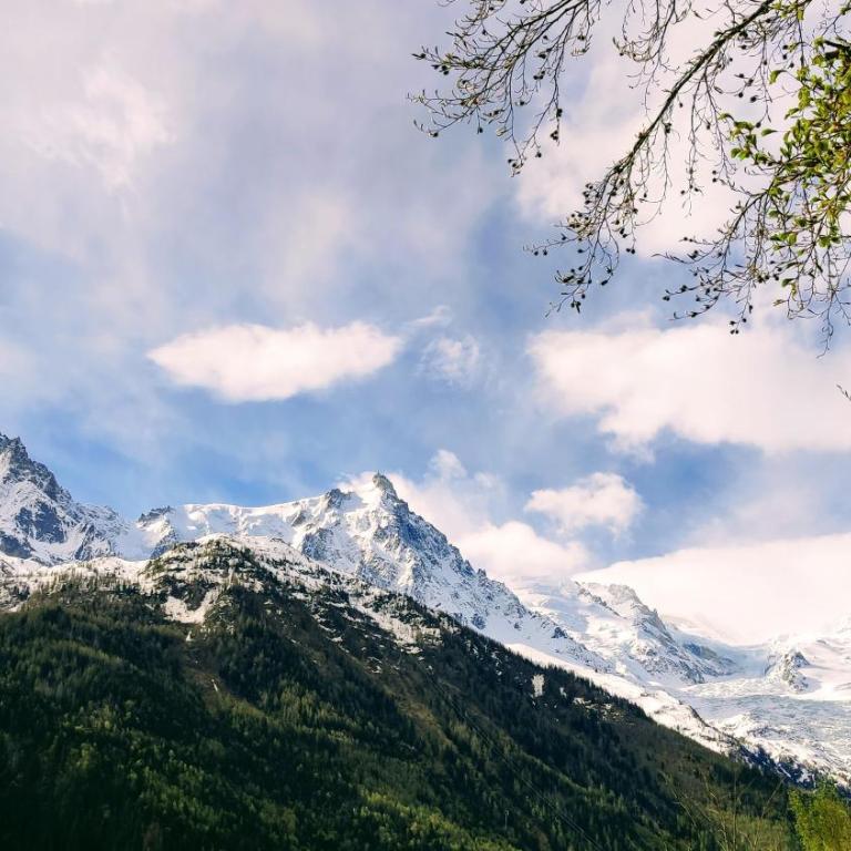 Au Pied Du Mont-Blanc - Chamonix - Apartment with Mountain View - 25