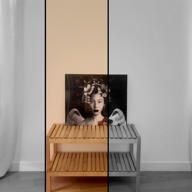 Parmigianino Nove - Appartamento con 1 Camera da Letto - 15