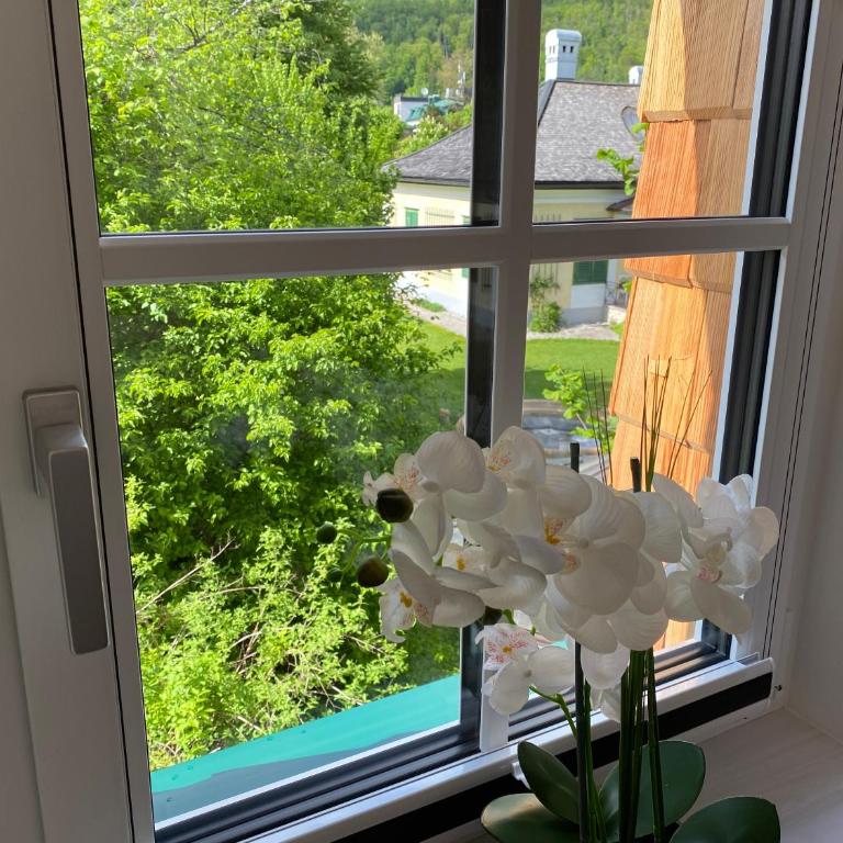 Im Kurpark - Deluxe Doppelzimmer mit Blick auf das Schloss - 8