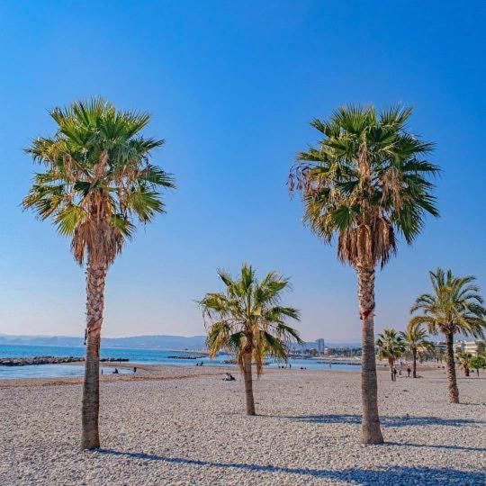 Terrasse Vue Mer Plage à 50 m Parking - Appartement - Vue sur Mer - 63