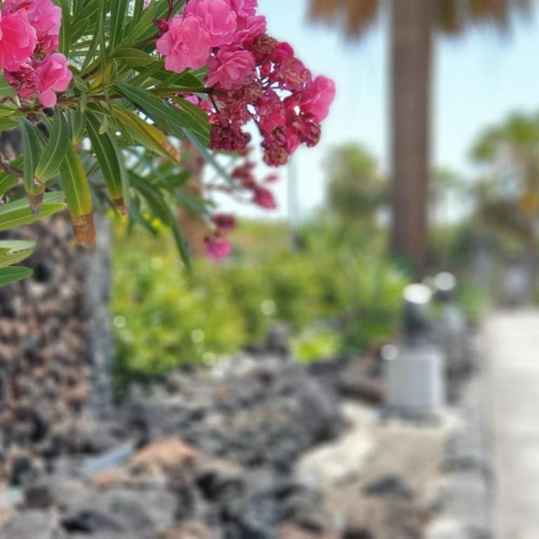 Cosy Well Located Apartment Tenerife Sur Golf - Apartamento de 1 dormitorio - 73