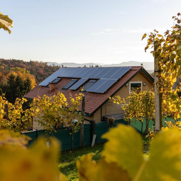 Weinberghaus am Burgstallkogel - Haus mit 3 Schlafzimmern - 1