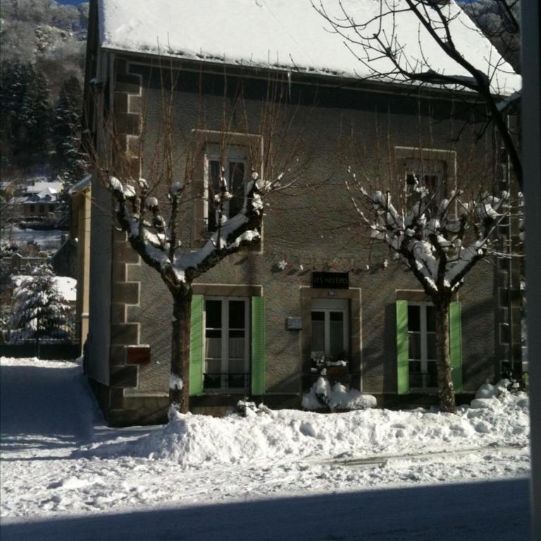 Les mélèzes - Appartement 1 Chambre - 1