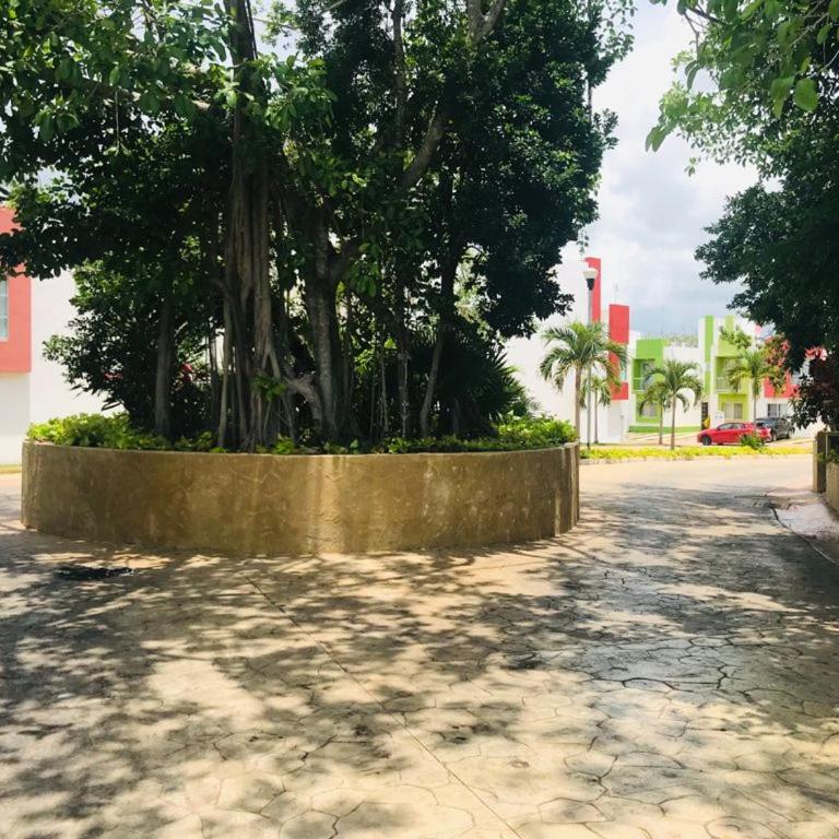Puerto Morelos - House to enjoy Riviera Maya - Three-Bedroom House - 30