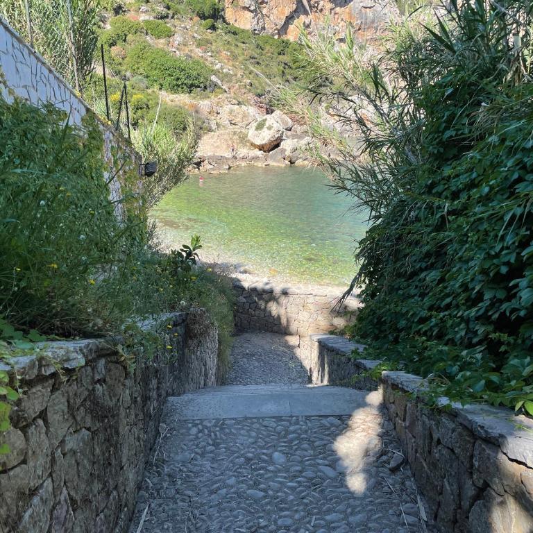 Deliziosa Villa a 500 metri dal mare con Piscina - Villa con 3 Camere da Letto - 7