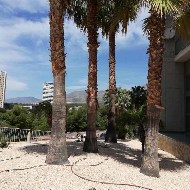 Torre Pinar I - Apartamento - 29