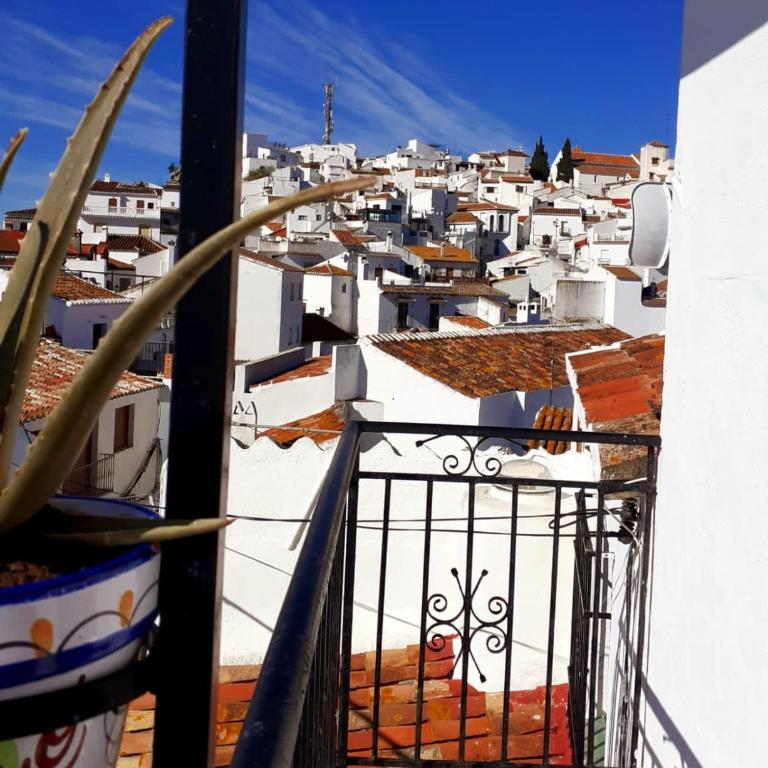Renovated cinema town house in Comares - Casa de 2 dormitorios - 25