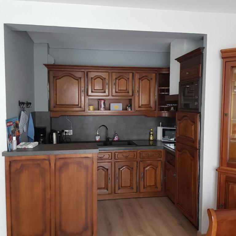 Residence JEANNE 50 m de l'Esplanade classé 2 étoiles - Apartamento de 1 dormitorio - 4