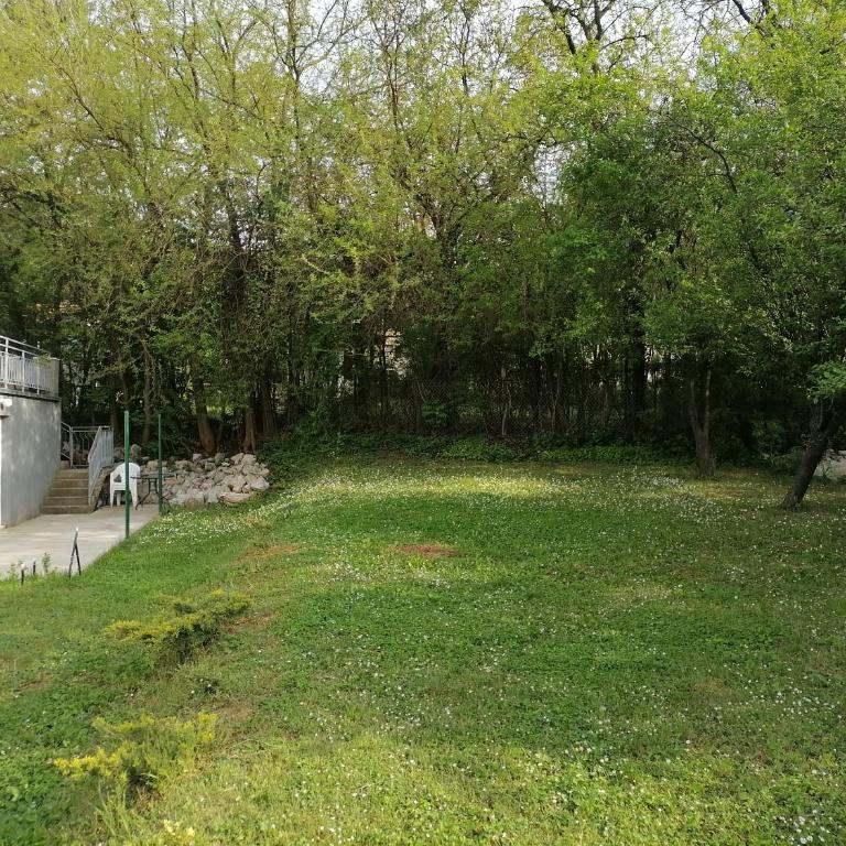 Vila Pola Sokobanja - Superior Vila - 5
