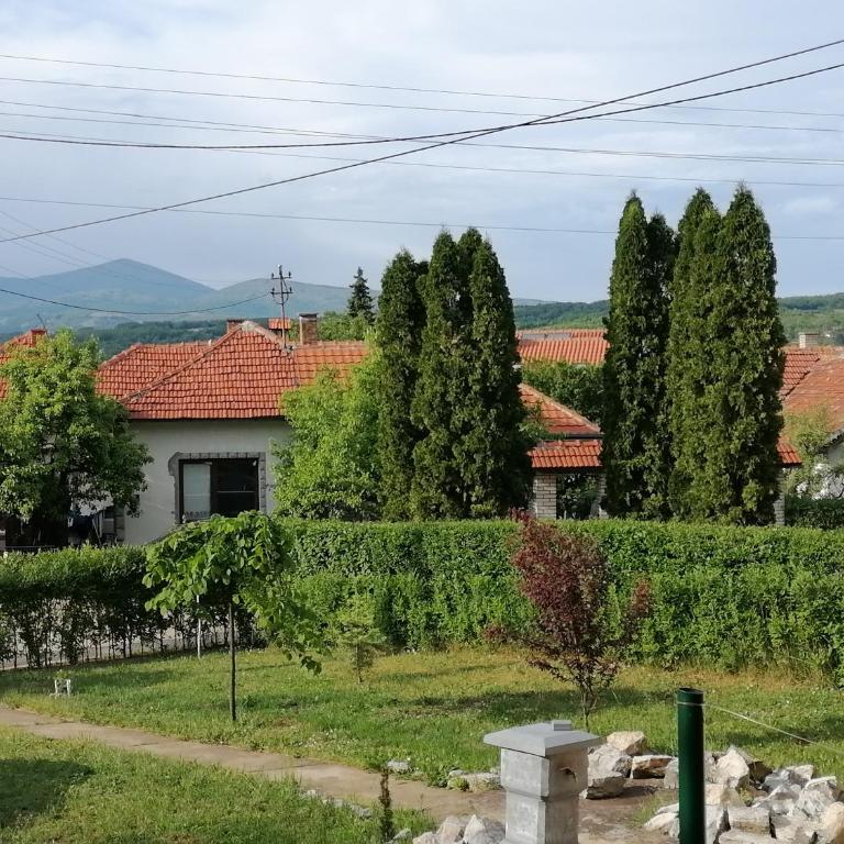 Vila Pola Sokobanja - Superior Vila - 7