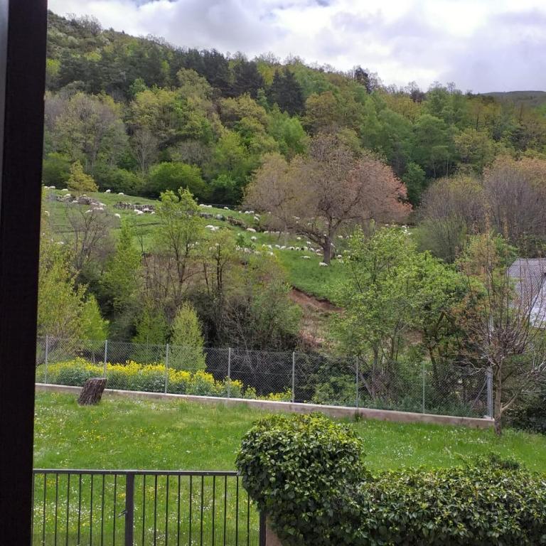 Apartamento Casa Bielsa - Appartamento con 2 Camere da Letto - 12