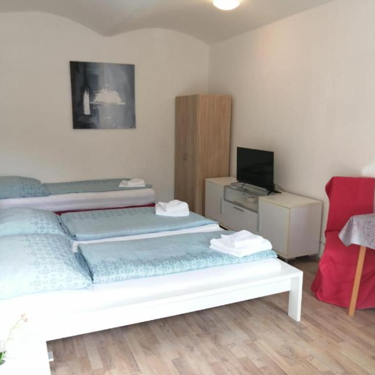Apartmenthaus beim LKH Graz I Free Parking I Self Check-in - Budget Dreibettzimmer - 3