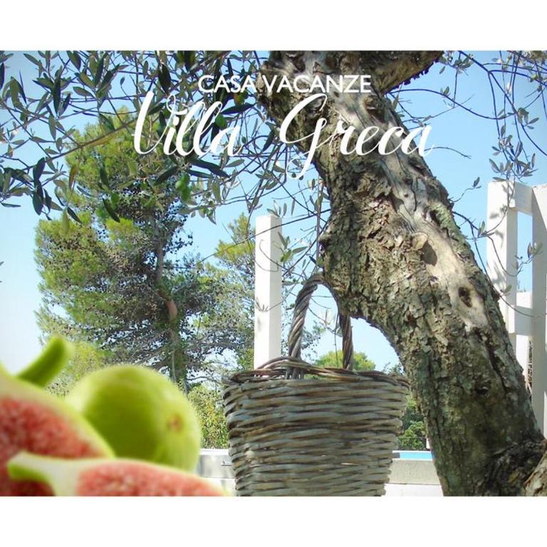 Casa Vacanze Villa Greca - Appartamento Standard - 45