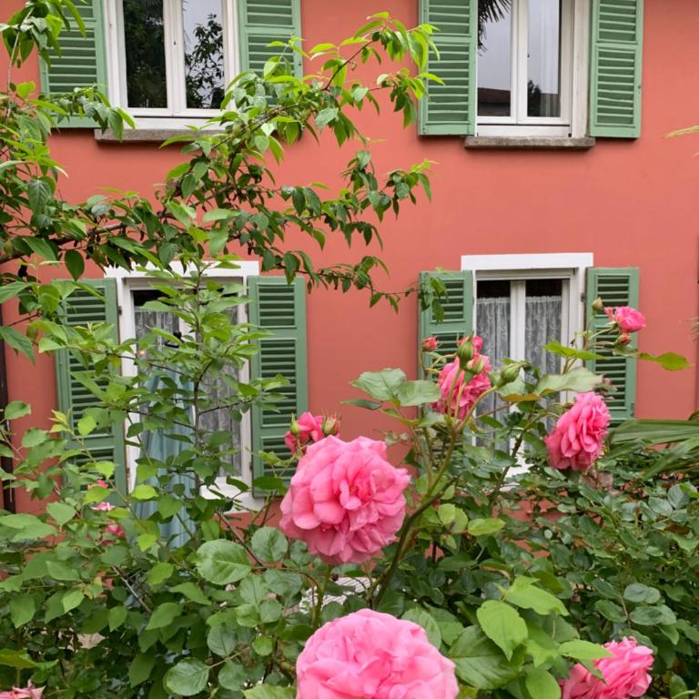Il Giardino Segreto Arona, Charming Apartments - Appartamento Monolocale - 14