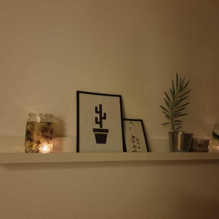 EXIT Happy Tribe Apartment - Apartman sa 2 Spavaće Sobe - 28