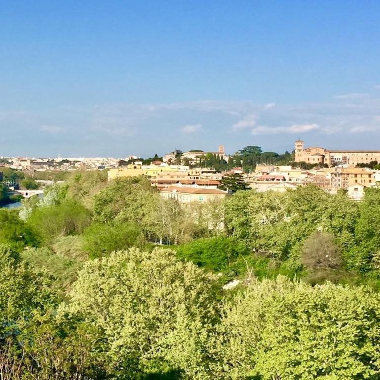 Terrace with Tiber View - Trastevere - Appartamento Attico - 13