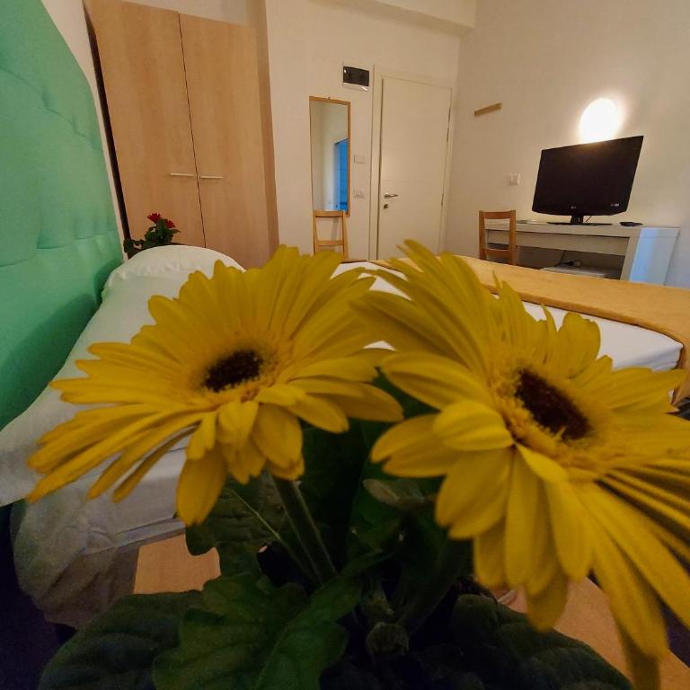 Hotel Senza Pensieri Riccione - Double or Twin Room - 22