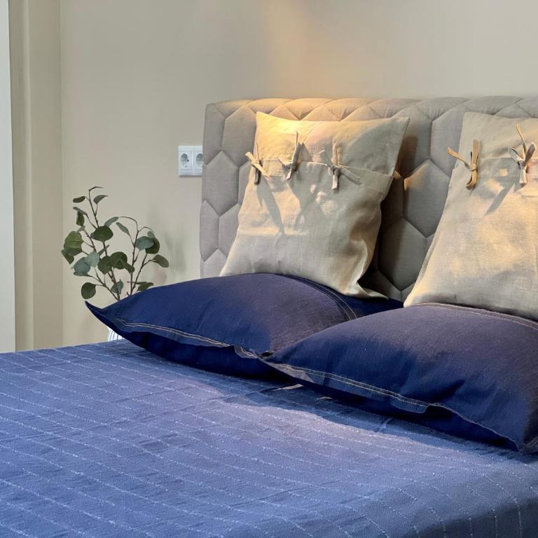 Baja-COLIBRI - Apartamento de 1 dormitorio - 8