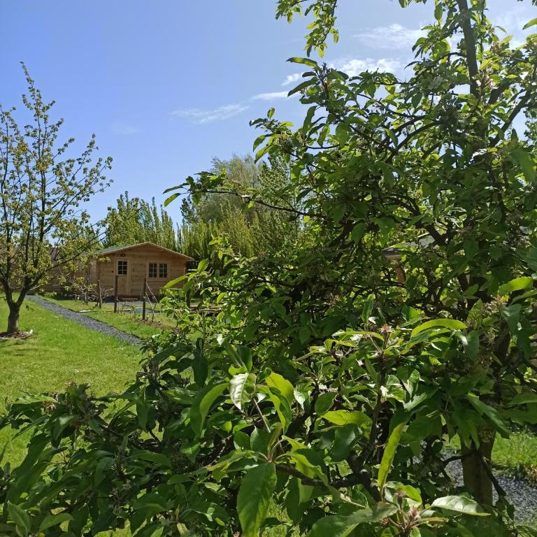 Gîte Les Chalets du Fliers à Verton Meublés de tourisme classés 2 étoiles - Casa - 20