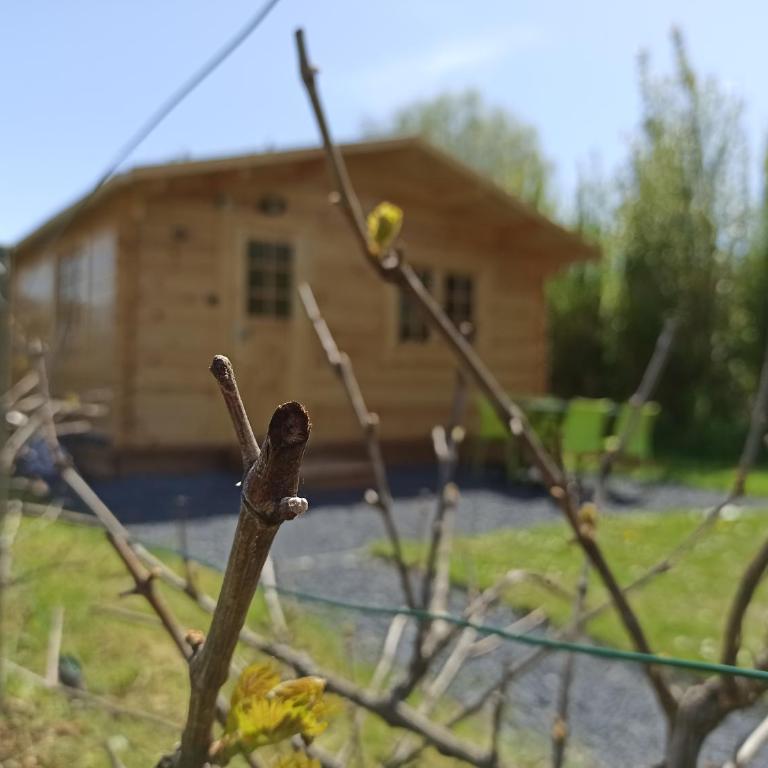 Gîte Les Chalets du Fliers à Verton Meublés de tourisme classés 2 étoiles - Casa - 22