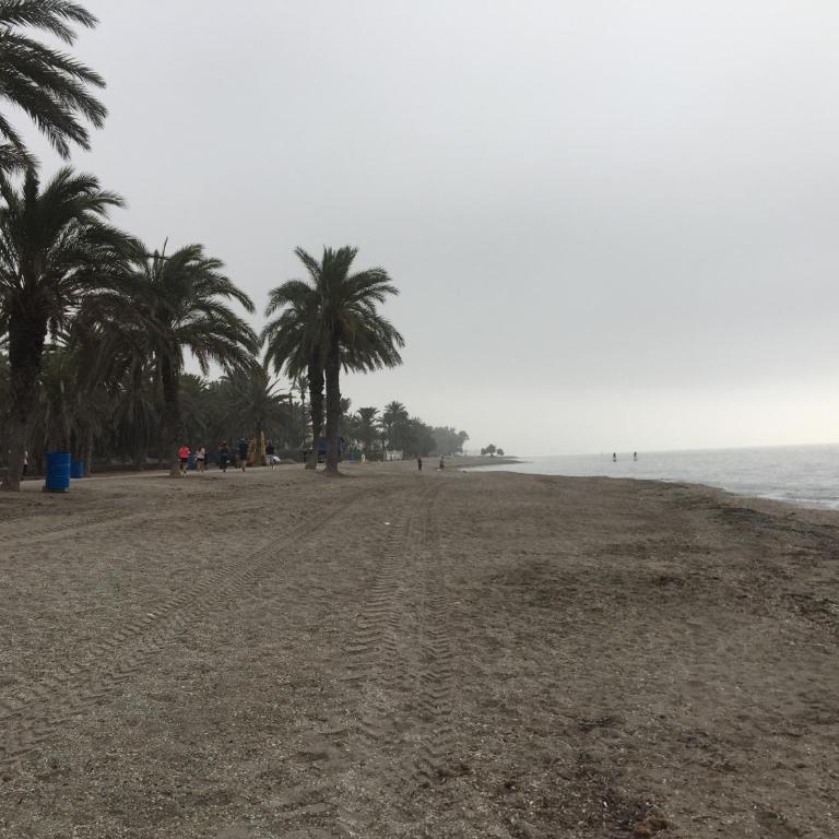 APARTAMENTO LAS PALMERILLAS-RESIDENCIAL TORREQUEBRADA - Two-Bedroom Apartment - 2