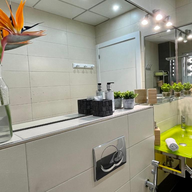 Baja-COLIBRI - Apartamento de 1 dormitorio - 24