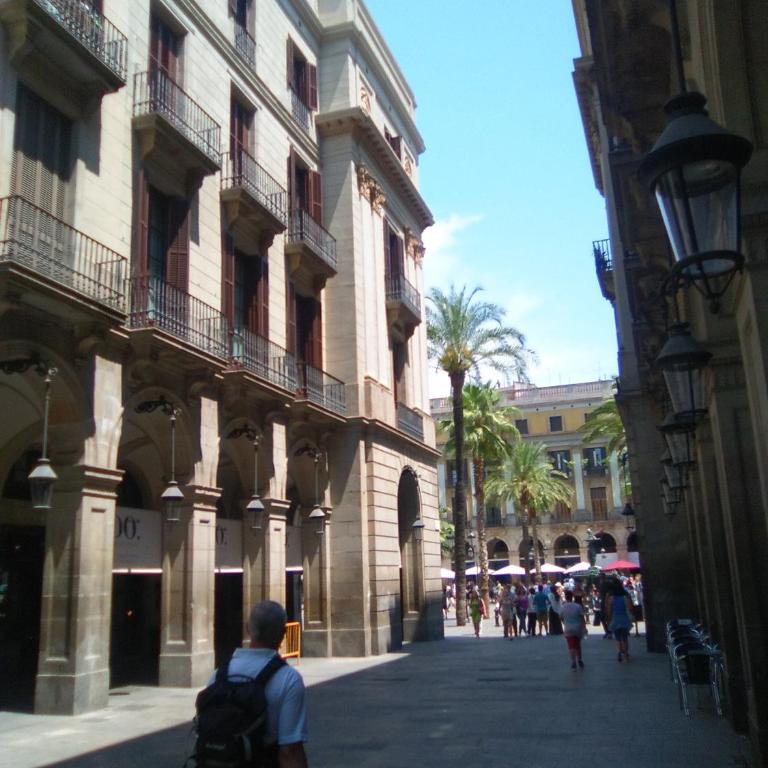 Colom Apartments - One-Bedroom Apartment - 25