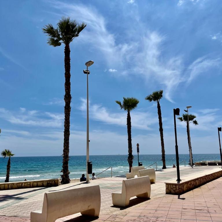 Baja-COLIBRI - Apartamento de 1 dormitorio - 37