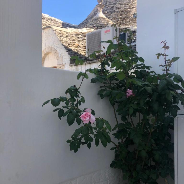 Nido di pietra-dimora in centro - Casa con 2 Camere da Letto - 30
