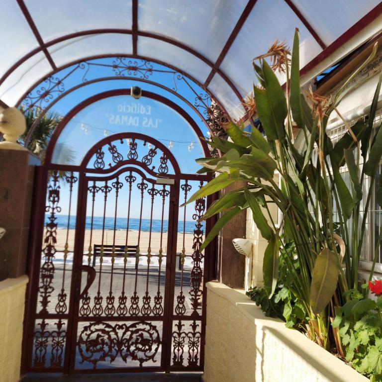 BENIDORM, Las Damas, primera línea de playa de Levante - Apartamento de 1 dormitorio - 3
