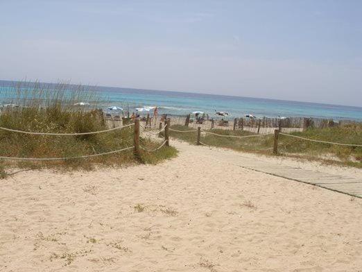 2 Bedroom Apartment , Son Bou - Apartamento de 2 dormitorios - 9