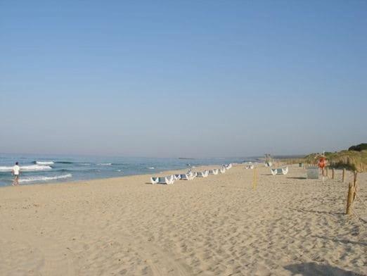 2 Bedroom Apartment , Son Bou - Apartamento de 2 dormitorios - 10
