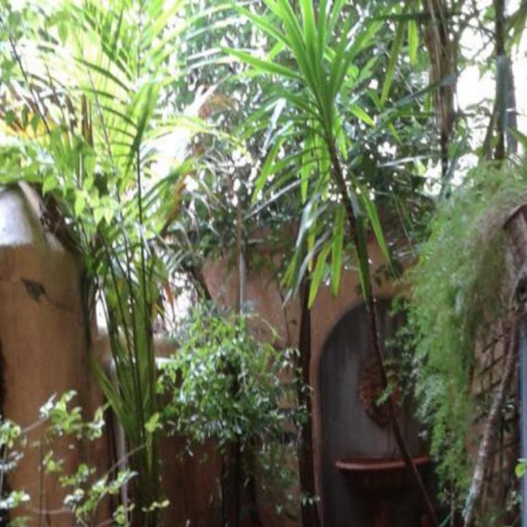 Independent with garden heart of trastevere John Cabot - Appartamento con 1 Camera da Letto - 7