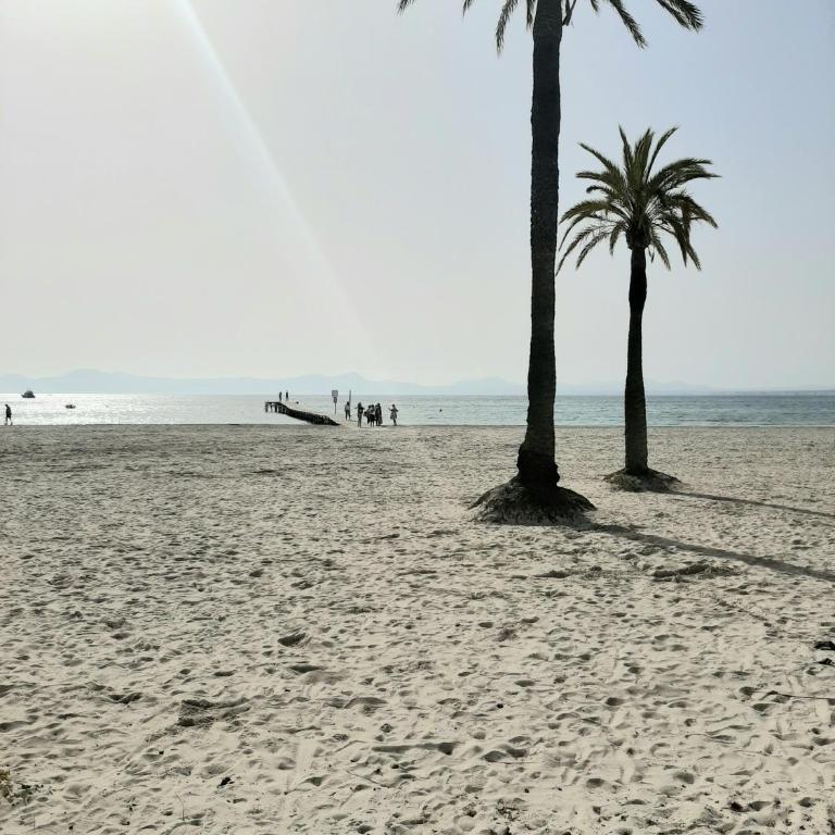 Beach Apartment Minerva - Apartamento con vistas al mar - 11