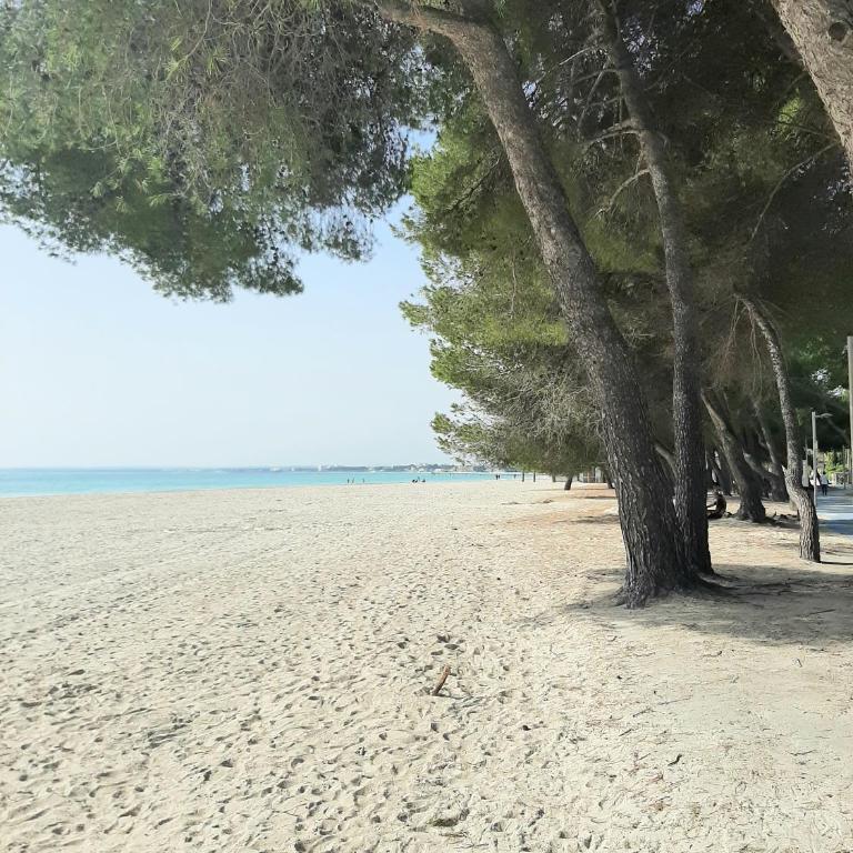 Beach Apartment Minerva - Apartamento con vistas al mar - 7