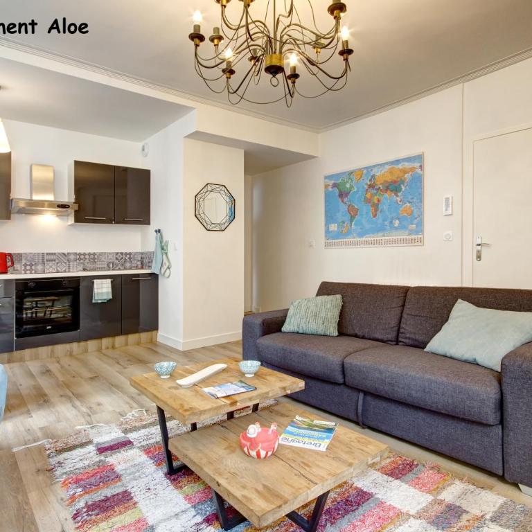 Appartements de caractère centre - Apartment Aloe - 4