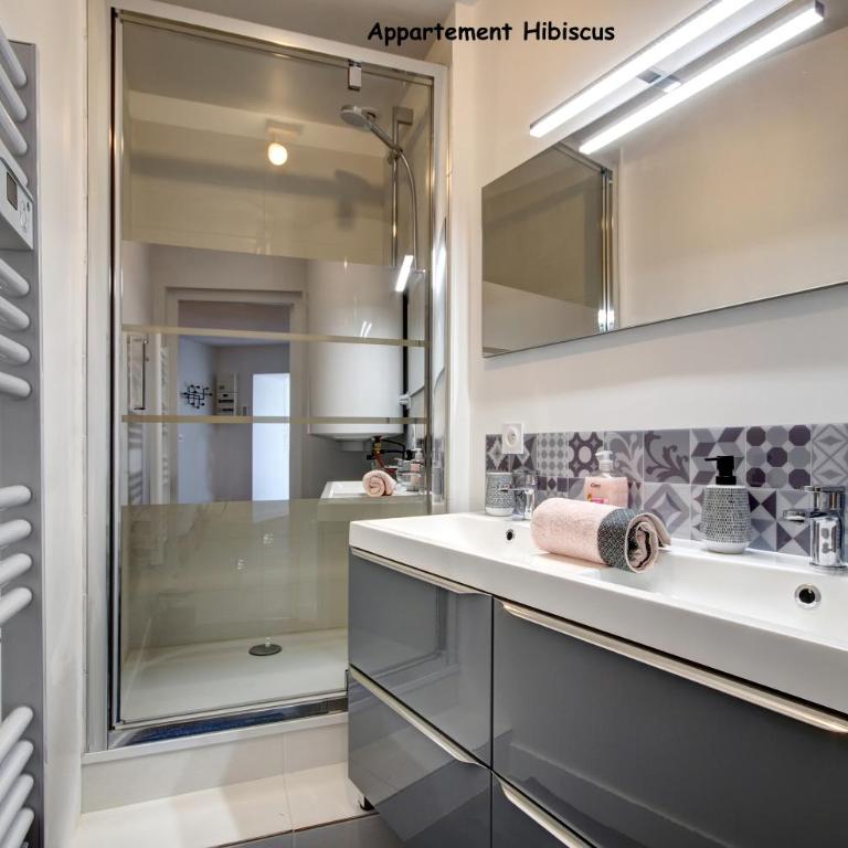 Appartements de caractère centre - Apartment Hibiscus - 12