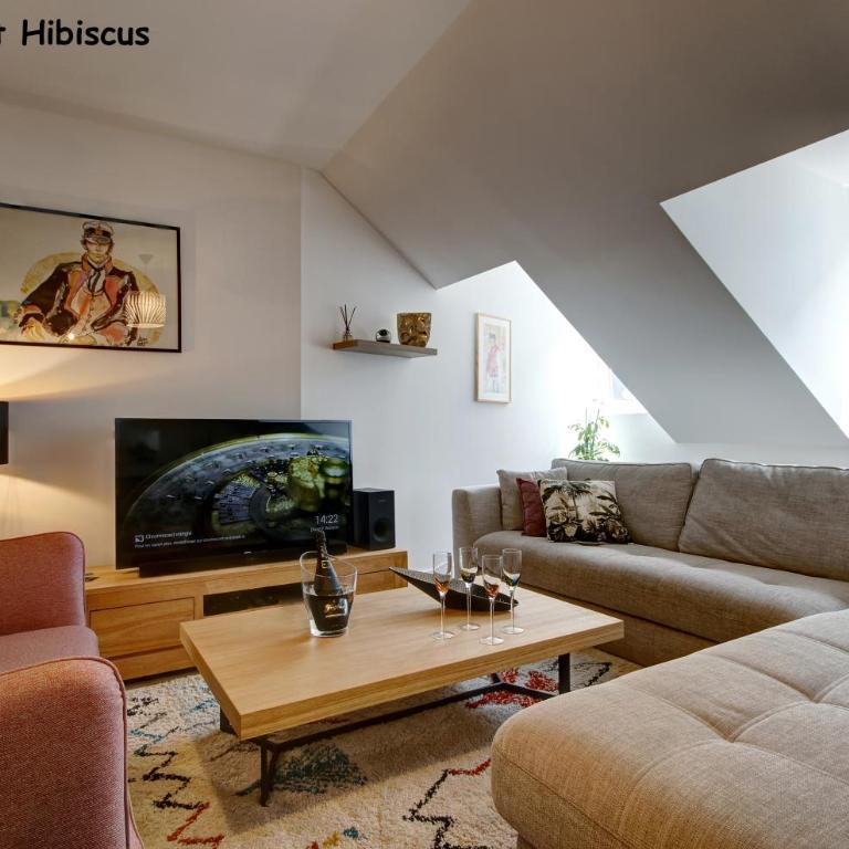 Appartements de caractère centre - Apartment Hibiscus - 2