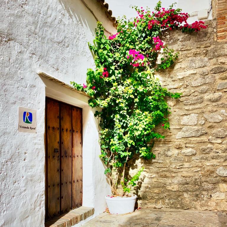 CASA PUERTA AZUL Absolutely the Best of Vejer! Casas Vejer Debra - Chalet Superior - 25